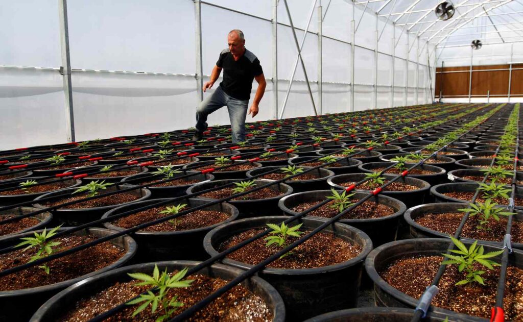 AdobeStock 290295333 Editorial Use Only 5f0b8cece0aa422a90f83e8c4b86a728