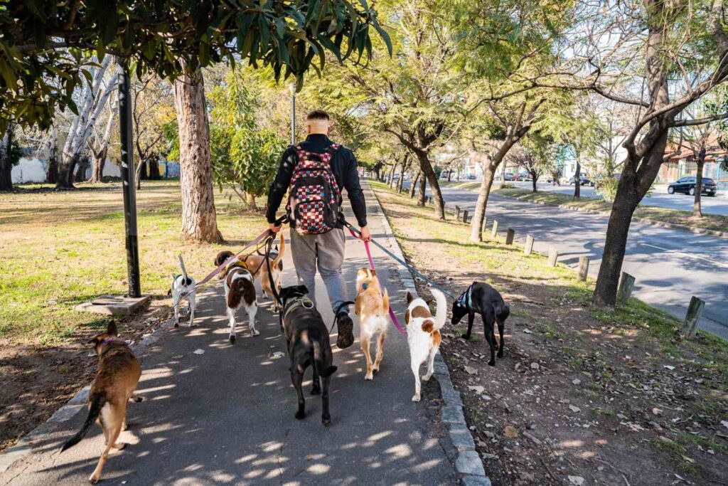 GettyImages 2167569767 21ebf1357bd04e9e8e62f10265f50709