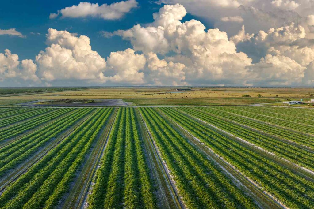 GettyImages 2178454394 87689e7ffd014c1aa6766c2c2596877f