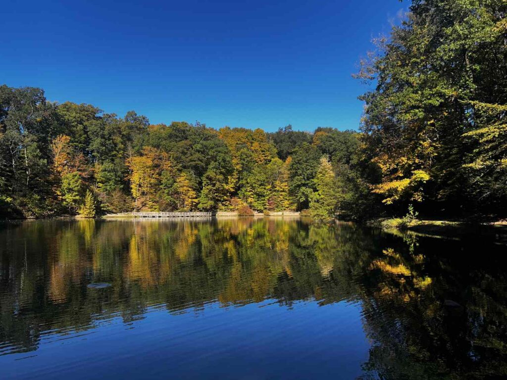 GettyImages 2184383610 399a0ec709be440985cf9d020219c969