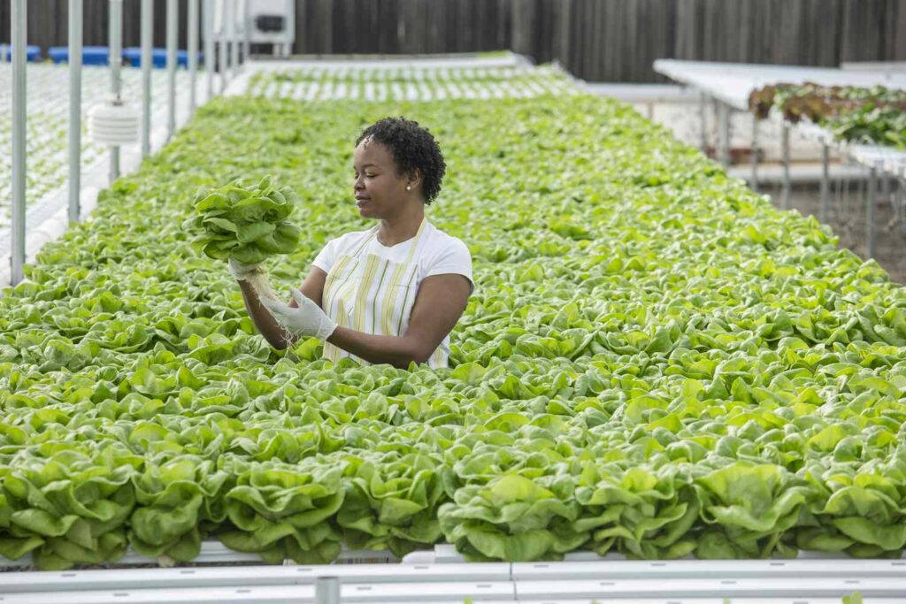 GettyImages 514412831 f4ceff23ce364f71915d2ebae05f1bc2