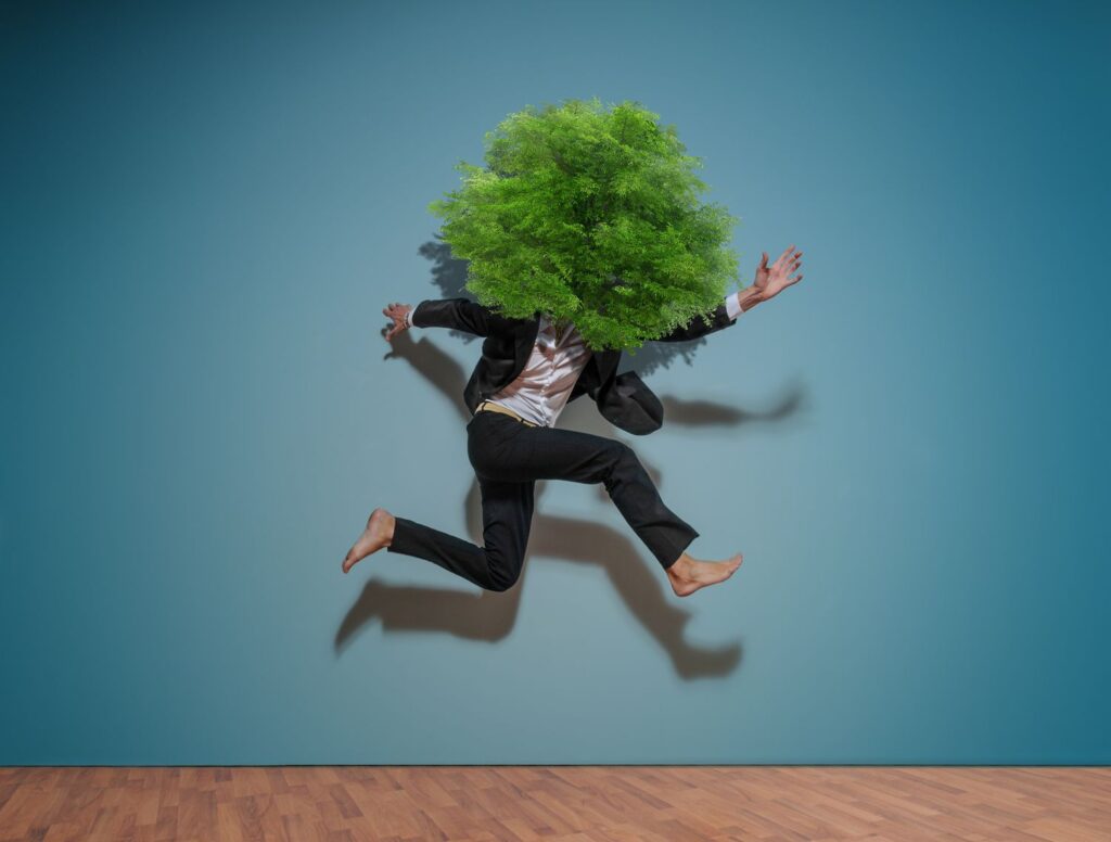 GettyImages 542334287 54c4eac406564df985e5ed0b50f2ddc6