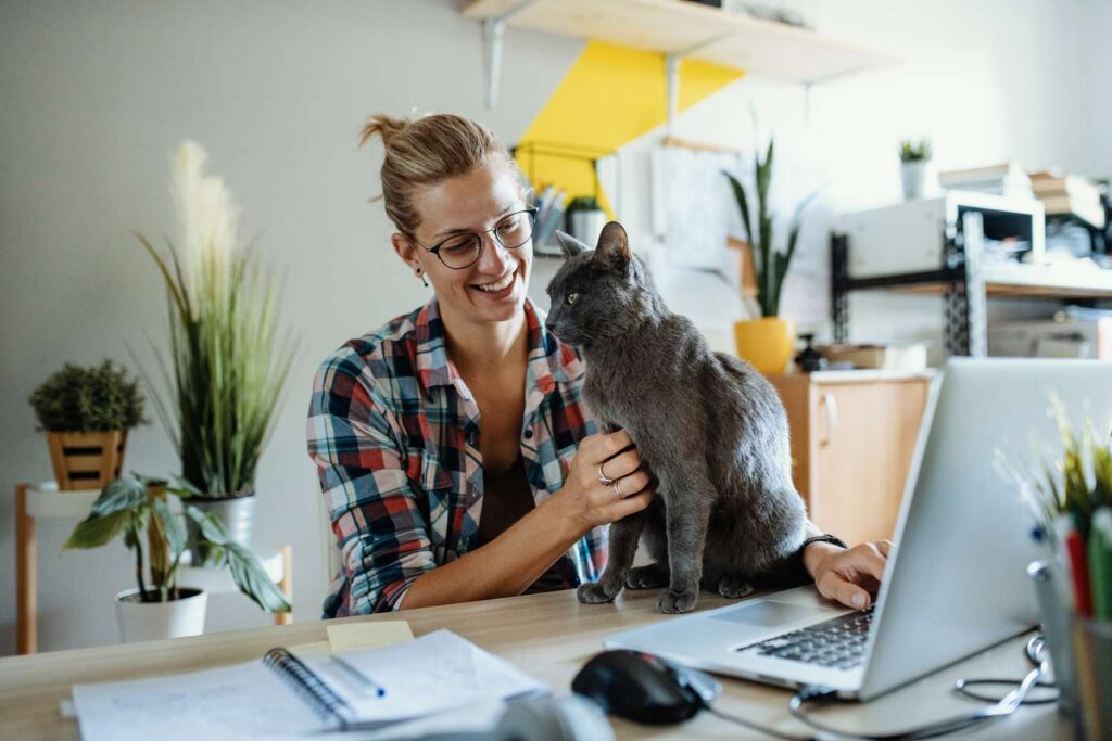 TaxDeductions caca171ee3394a23b5bdac87ddaeb8c4