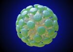 coronavirus 4d90e87cf34f4a6687ab04f2654aea5b