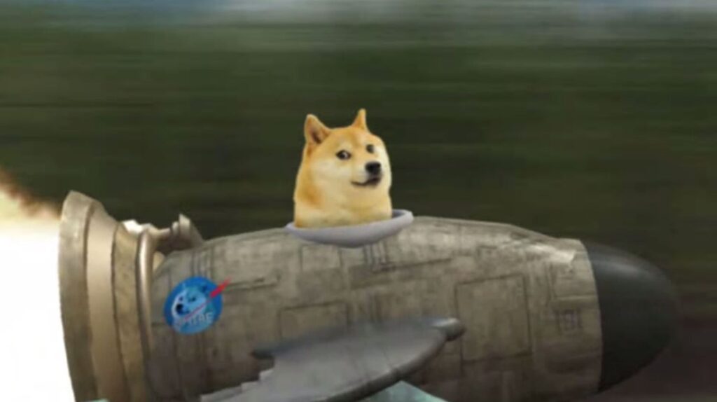 doge 56a0a2e05f9b58eba4b25196