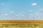 wind turbine farm generator near roscoe or sweetwater texas in usa in prairie with rows of many mach